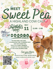 Load image into Gallery viewer, Mother’s Day Highland Cow Visit