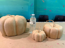 Load image into Gallery viewer, Ladies Night - Floral Pumpkins!
